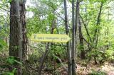 Promenons nous dans les bois 41 * 5184 x 3456 * (9.69MB)